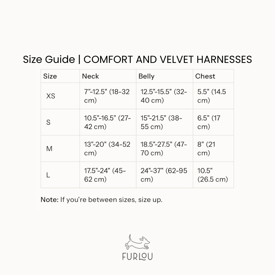 The Everyday Harness