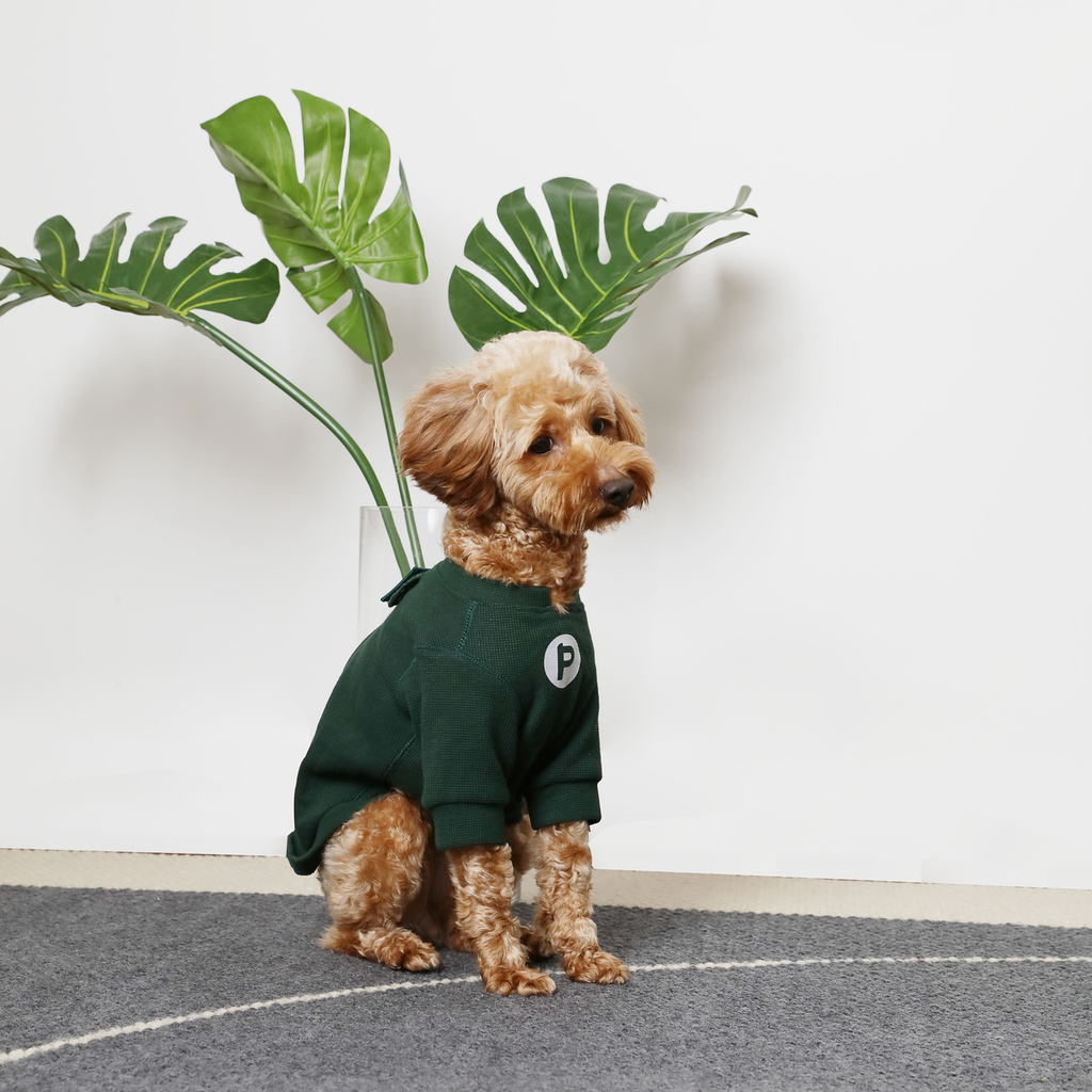 The Embroidery Waffle T-Shirt in Green