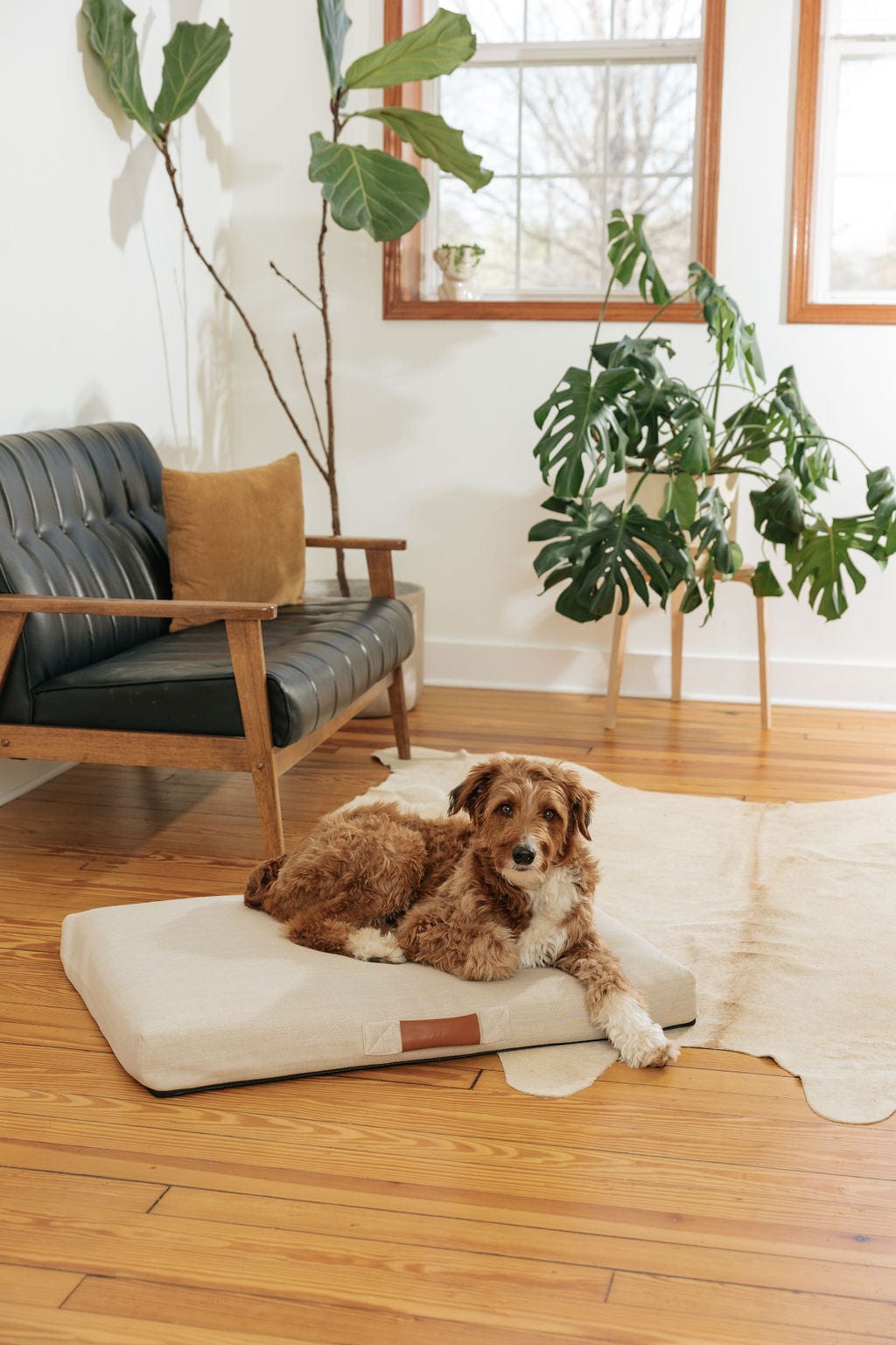 The Montauk Bed