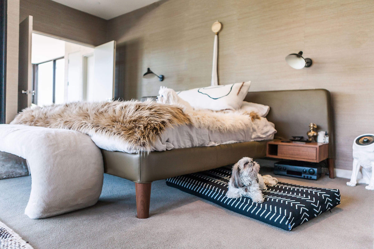 The Atlas Bed