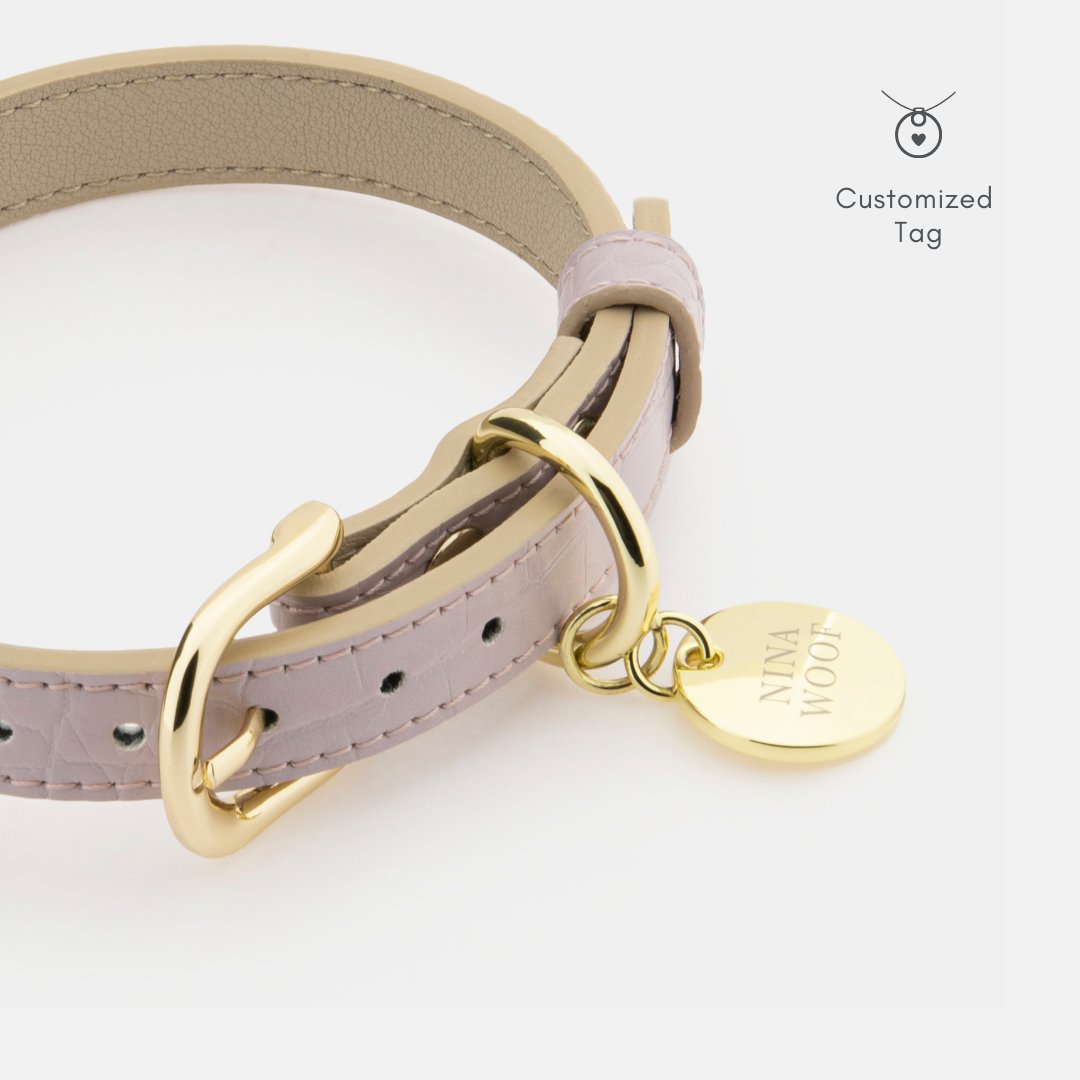 The Modern Collar