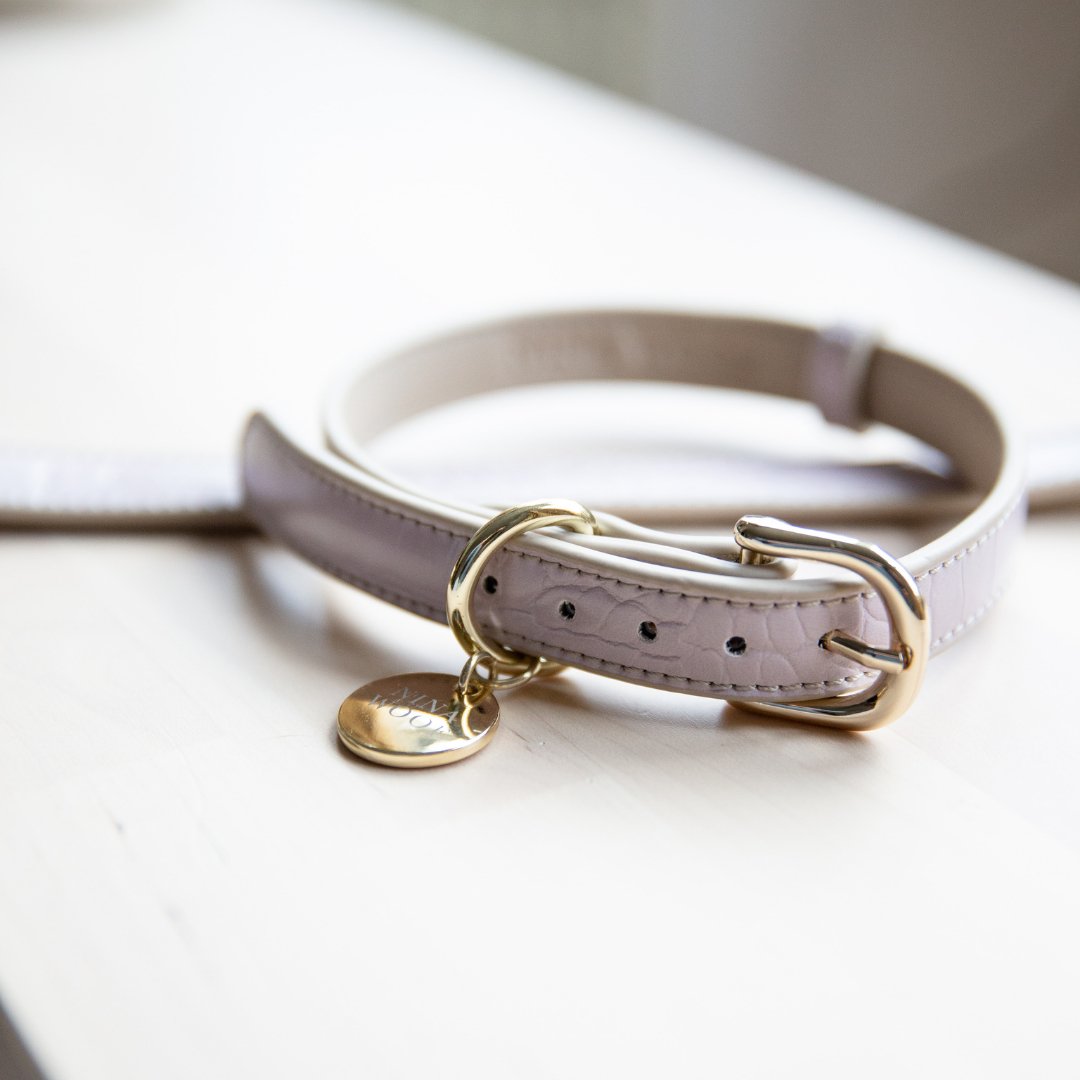 The Modern Collar