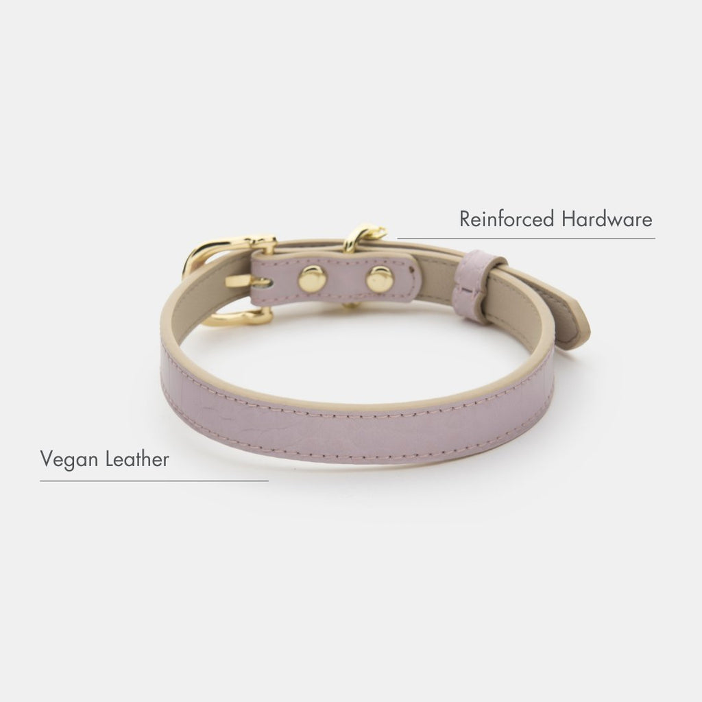 The Modern Collar
