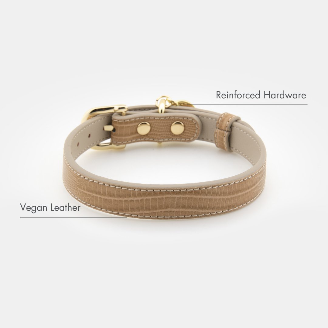 The Modern Collar
