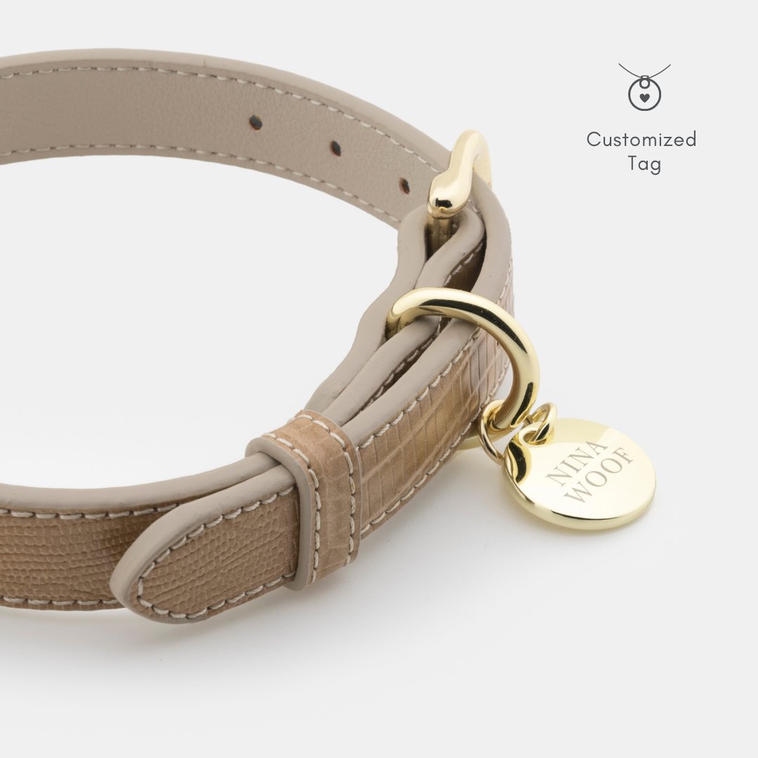 The Modern Collar