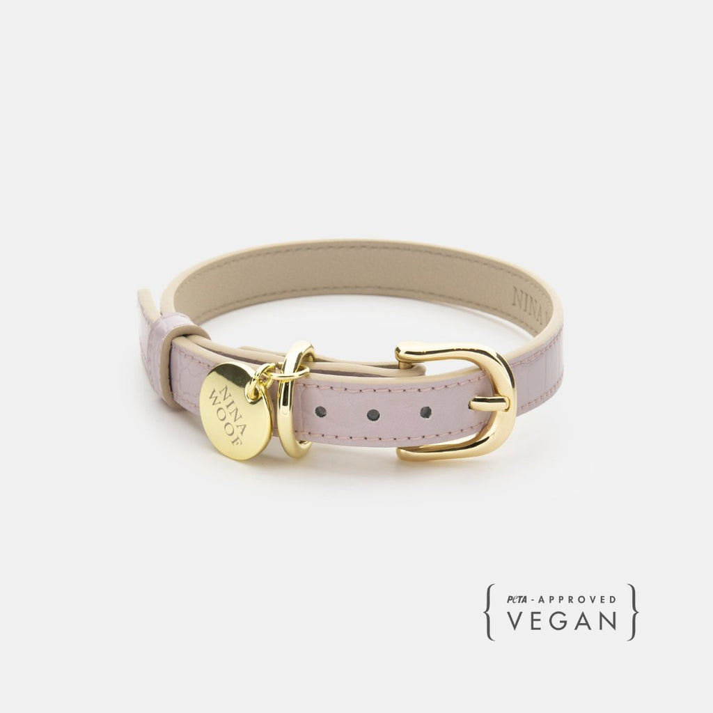 The Modern Collar