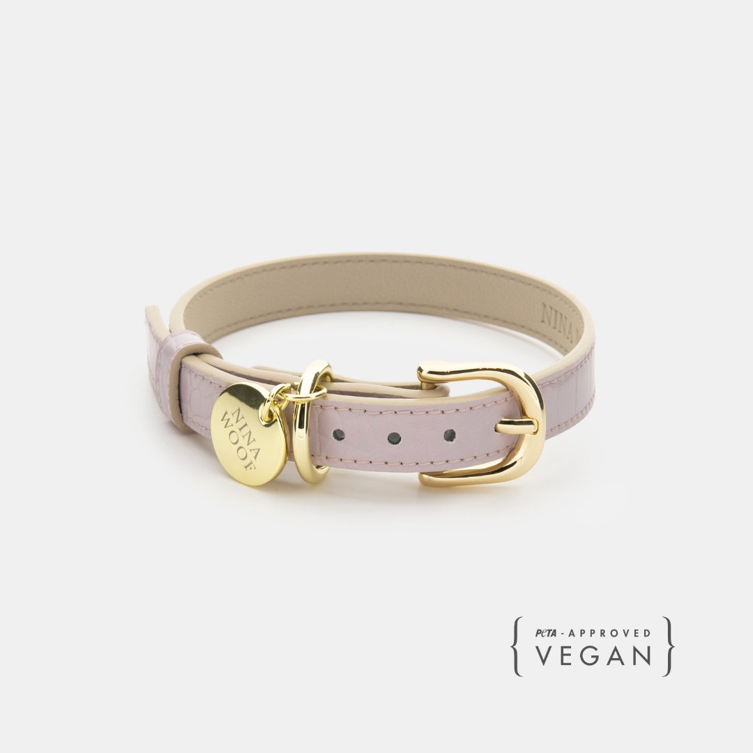 The Modern Collar