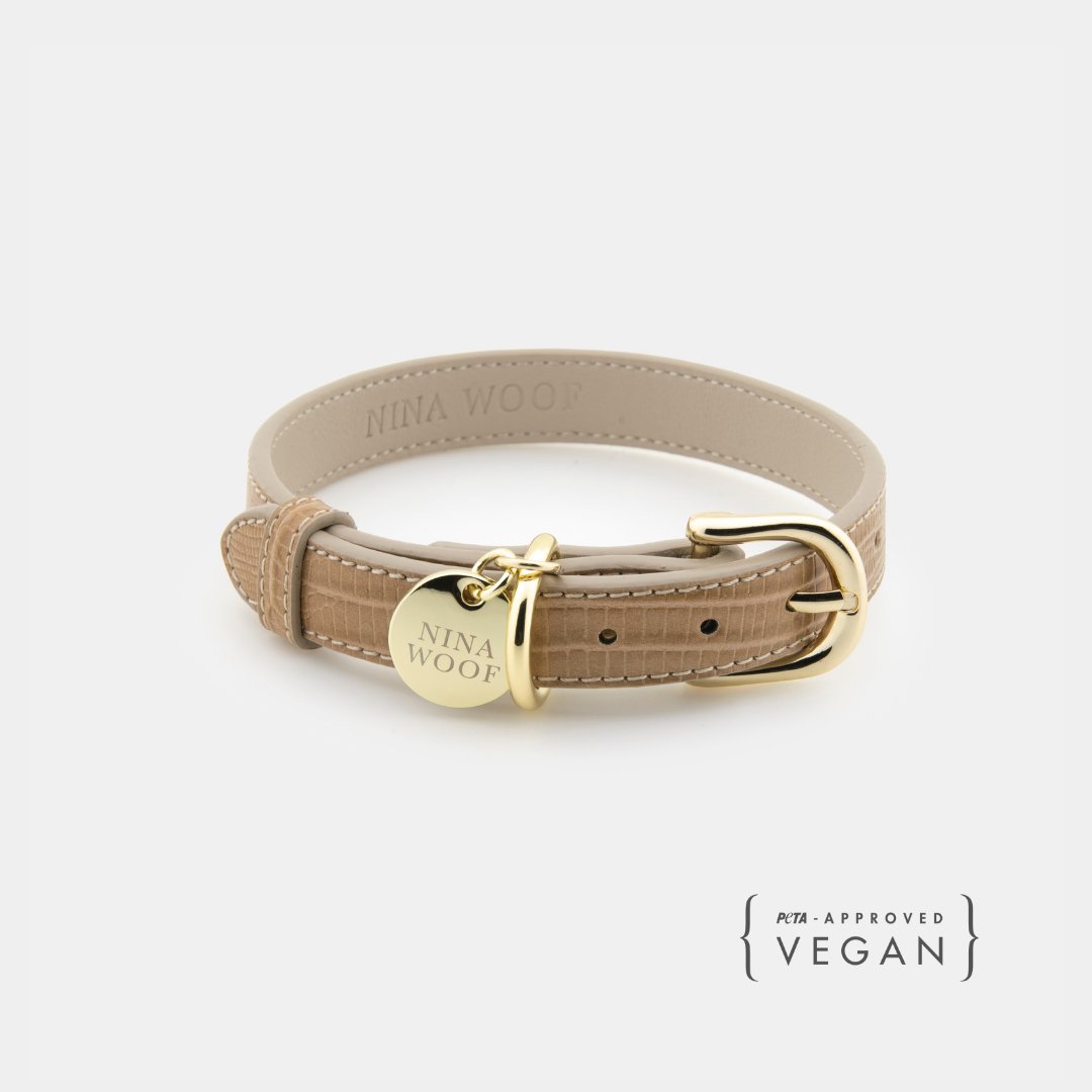 The Modern Collar