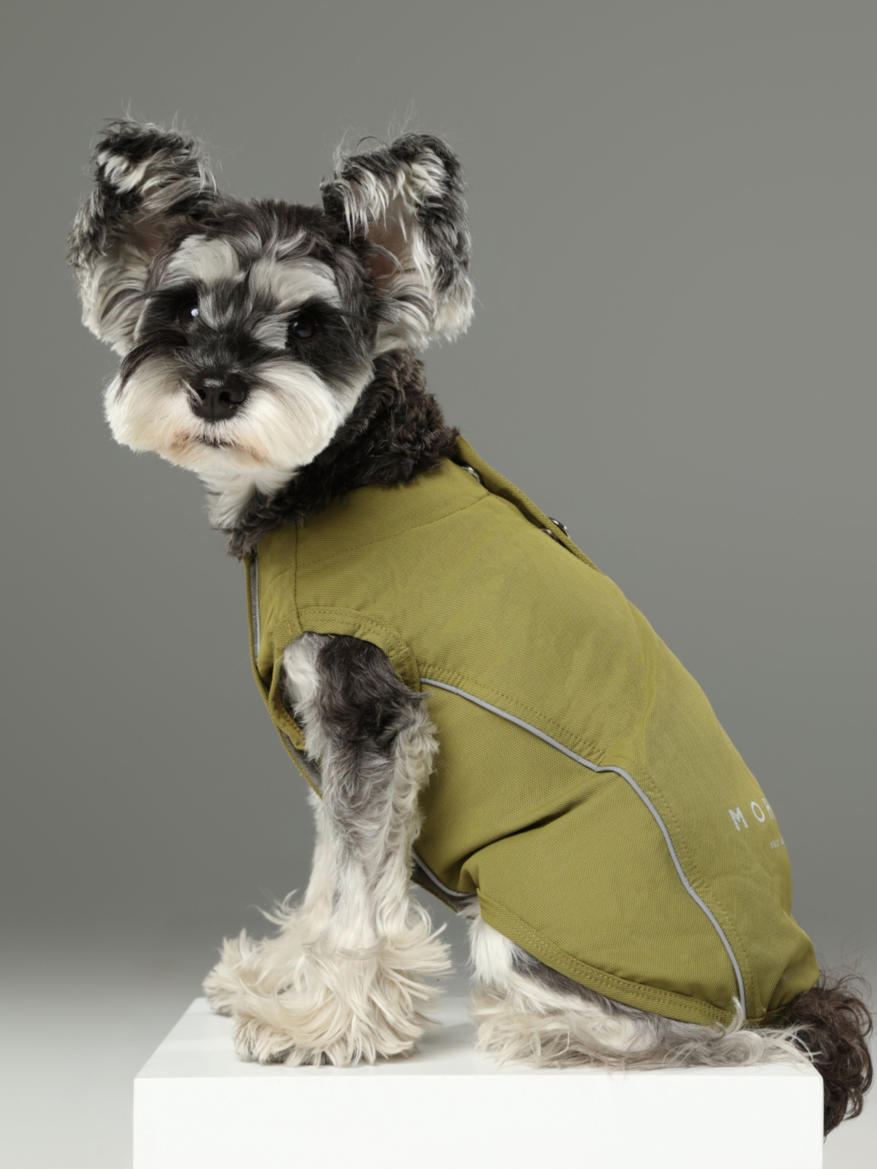 The Harbor Chill Vest in Green