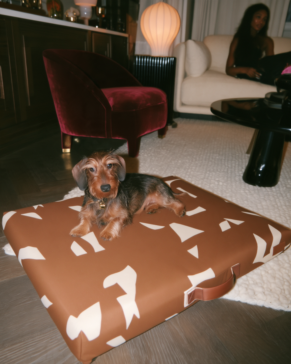 The Sunday Bed